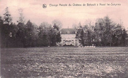 NAAST Lez SOIGNIES - Elevage Avicole Du Chateau De Behault - 1924 - Soignies