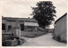 Trois Ponts - HAUTE BODEUX - Un De Ses Coin Rustiques - Fontaine - Trois-Ponts