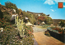 Spain Lanzarote Hotel Los Fariones - Garden - Hotels & Restaurants