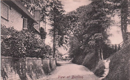 Hampshire - View At BURITON - Autres & Non Classés