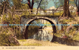 R178345 Old Roman Bridge. Brinken Wood. New Forest. Dearden And Wade - World