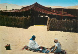 Algeria Hotel Bedouin Scenes Et Types - Scenes