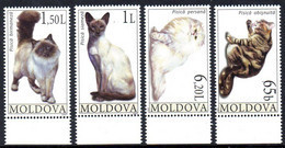 Moldavie Moldova 0510/13 Chats - Domestic Cats