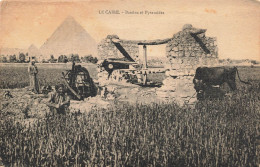 MIKICP5-030- EGYPTE LE CAIRE PYRAMIDE MOULIN A EAU - Le Caire