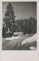 96178 - Schnelandschaft Im Winter - Sonstige & Ohne Zuordnung