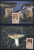 Ciskei Ob N° 110 à 113 S Cartes Maxi.- Champignons Comestibles (4 P34 - 35) - Mushrooms