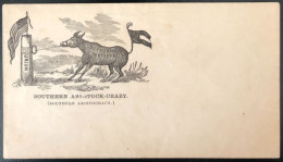 U.S.A, Civil War, Patriotic Cover - "Southern ASS-STOCK-CRAZY" - Unused - (C520) - Marcophilie