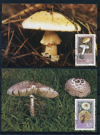 Ciskei Ob N° 145 à 148 - Cartes Maxi.- Champignons Vénéneux (4 P38-39) - Champignons