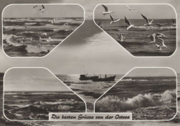 126198 - Ostsee - 5 Bilder - Sonstige & Ohne Zuordnung