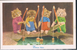 4 Chats Humanisé-dressed Cats -katzen - Poesjes Aan Het Vissen - Dressed Animals