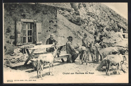 AK Rochers De Naye, Chalet, Wanderer Und Ziegen  - Roche