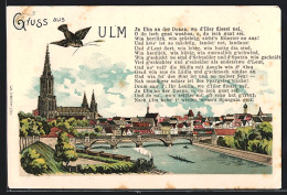 Lithographie Ulm / Donau, Ortsansicht Mit Dem Münster Und Einer Eisenbahn Am Fluss  - Ulm