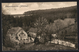 AK Eisenberg / Thür., Naupoldsmühle  - Eisenberg