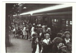 LONDON TRANSPORT MUSEUM PUBLISHED  NO  LTM 460 DAY TRIP FROM RAVENSCOURT PARK - Other & Unclassified