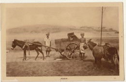 Yemen Camel Water Cart Aden - Yémen