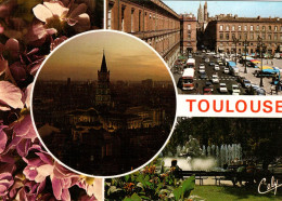 TOULOUSE - Violettes De Toulouse - La Basilique St. Sernin - La Place Du Cpitole - La Place Wilson - Toulouse