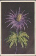 Eryngum Alpinum - Blaudistel, C.1930s - Edition Stehli AK - Flowers