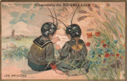 Chromo Chocolat Du Negrillon Les Grillons - Autres & Non Classés