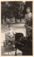 Photographie Amateur Vintage Snapshot Paris Jardin D'acclimatation Chèvre - Anonymous Persons