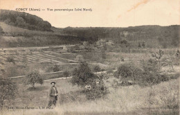 02 - CORCY - S29356 - Vue Panoramqiue - Côté Nord - Agriculture - Sonstige & Ohne Zuordnung