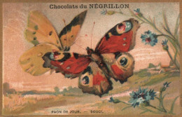 Chromo Chocolat Du Negrillon Paon De Jour -souci - Autres & Non Classés