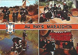 France & Marcofilia, Au Pays Maraichin, Multi, Castelnau-Magnoac A Holand 1985 (82) - Trachten