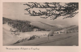 13535 - Altenberg - Rehefeld Im Erzgebirge - 1962 - Altenberg