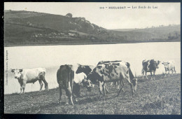 Cpa Du 29 Huelgoat  - Les Bords Du Lac  STEP133 - Huelgoat