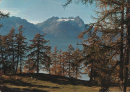 106196 - Schweiz - Martigny - Col Des Planches - 1972 - Autres & Non Classés