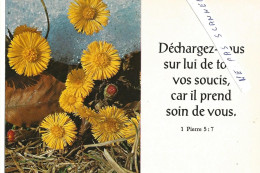 PROTESTANTISME Carte Avec Verset Biblique  Circulée - Religion & Esotérisme