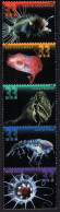 2041970942 2000 SCOTT 3443A (XX)  POSTFRIS MINT NEVER HINGED  - FAUNA - Sea Creatures Mairne Life - Unused Stamps
