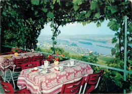 Postcard Hotel Restaurants Cafe Rebenhaus Rudesheim Am Rhein - Hotels & Restaurants