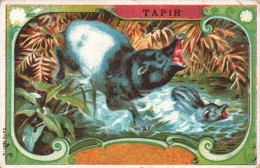 Chromo Le Tapir - Autres & Non Classés