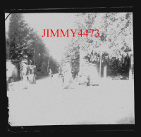 Plaque De Verre - La Forêt De Fontainebleau, Bien Animée En 1902 - Taille 43 X 45 Mlls - Glass Slides