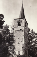 Muizen Toren St Lambertus Kerk - Mechelen