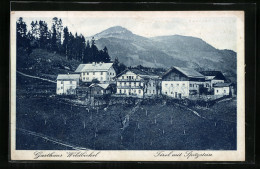 AK Kufstein /Tirol, Gasthaus Wildbichel Mit Spitzstein  - Autres & Non Classés