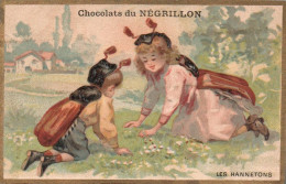 Chromo Chocolat Du Negrillon Les Hannetons Humanises - Autres & Non Classés