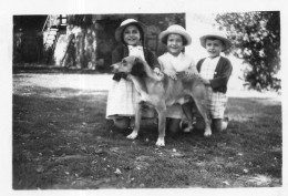 Photographie Photo Amateur Vintage Snapshot Enfant Child Chien Dog  - Sonstige & Ohne Zuordnung