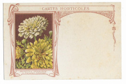 08 - CARIGNAN : GRAINETERIE DENAIFFE . CARTES HORTICOLES . - Andere & Zonder Classificatie