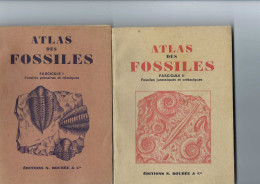 Atlas Des Fossiles - Archéologie