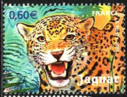 France Poste Obl Yv:4035 Mi:4245 Jaguar (Beau Cachet Rond) - Gebruikt