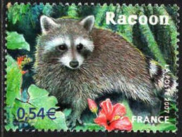 France Poste Obl Yv:4034 Mi:4244 Racoon (Beau Cachet Rond) - Gebruikt