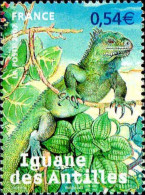 France Poste N** Yv:4033 Mi:4243 Iguane Des Antilles - Unused Stamps