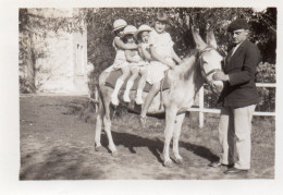 Photographie Photo Amateur Vintage Snapshot âne Donkey Enfant Béret Mule  - Autres & Non Classés
