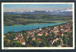 11260 Beinwil - Vue Générale Sur Le Village Et Le Lac De Hallwil - Hallwilersee - Autres & Non Classés