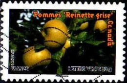 France Poste AA Obl Yv: 696 Mi:5317 Pommes Reinette Grise Canada (Lign.Ondulées) - Gebraucht