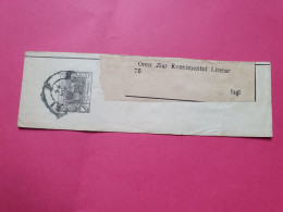 Roumanie - Entier Postal (Bande Journal ) Pour Iași - Réf 3627 - Postal Stationery