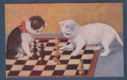 CHATS - Echecs - Katzen