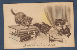 CHATS - Accident... - Katzen