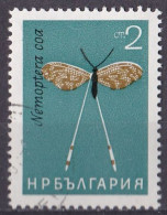 (Bulgarien 1964) Insekten Nemoptera Coa O/used (A5-20) - Other & Unclassified